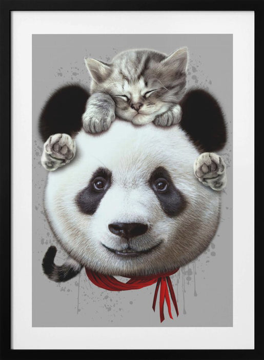 cat on panda bear Framed Art Wall Decor