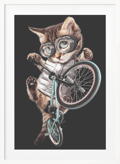 bmx cat Framed Art Wall Decor