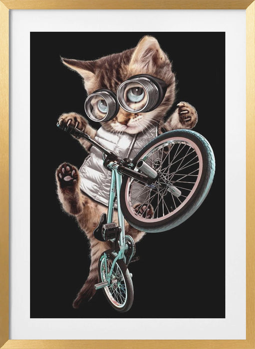 bmx cat Framed Art Wall Decor