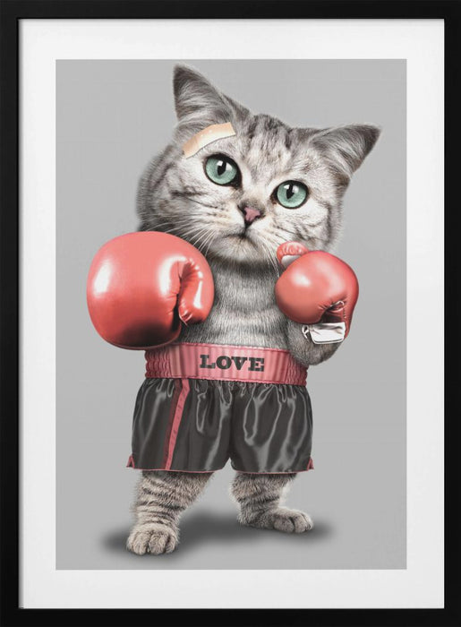 boxing cat Framed Art Modern Wall Decor