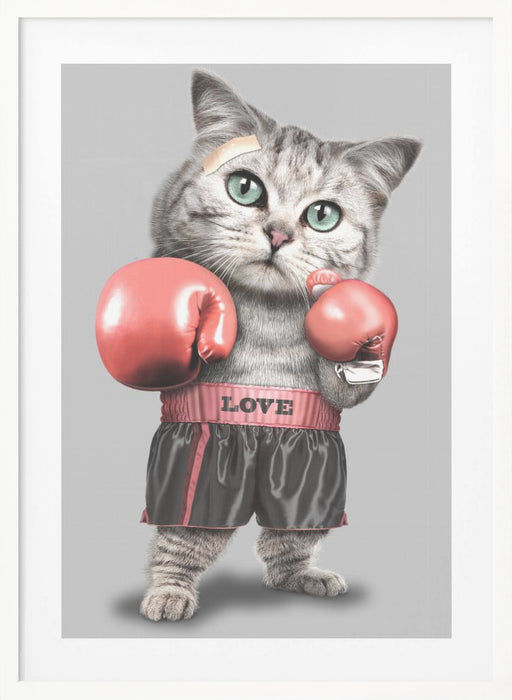 boxing cat Framed Art Modern Wall Decor