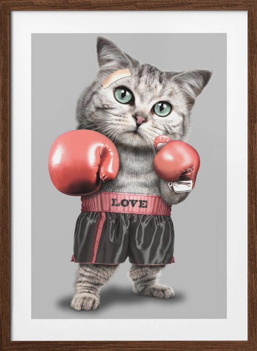 boxing cat Framed Art Modern Wall Decor