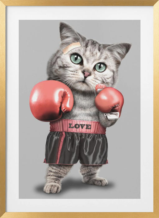 boxing cat Framed Art Modern Wall Decor