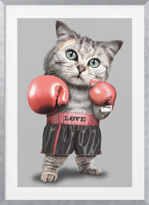 boxing cat Framed Art Modern Wall Decor