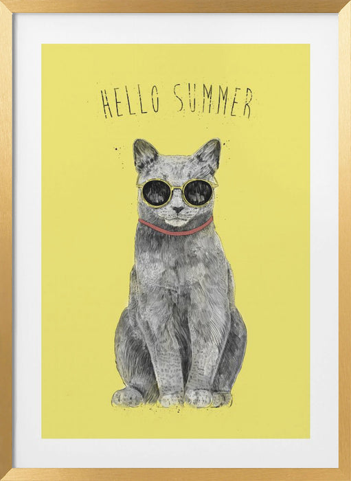 Hello Summer Framed Art Wall Decor