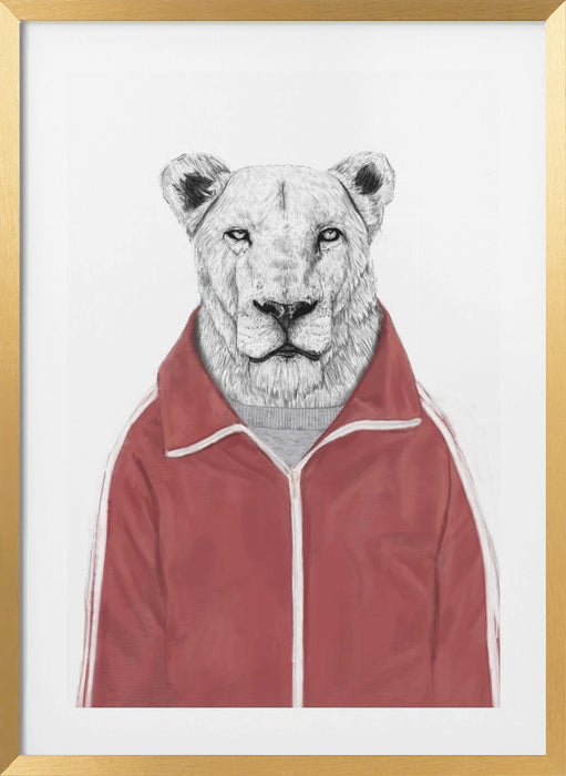 Sporty Lion Framed Art Wall Decor