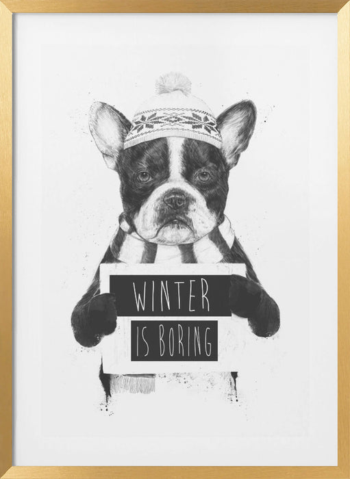 Winter is boring Framed Art Wall Decor