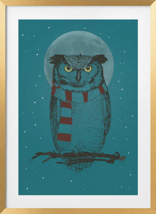 Winter owl Framed Art Modern Wall Decor