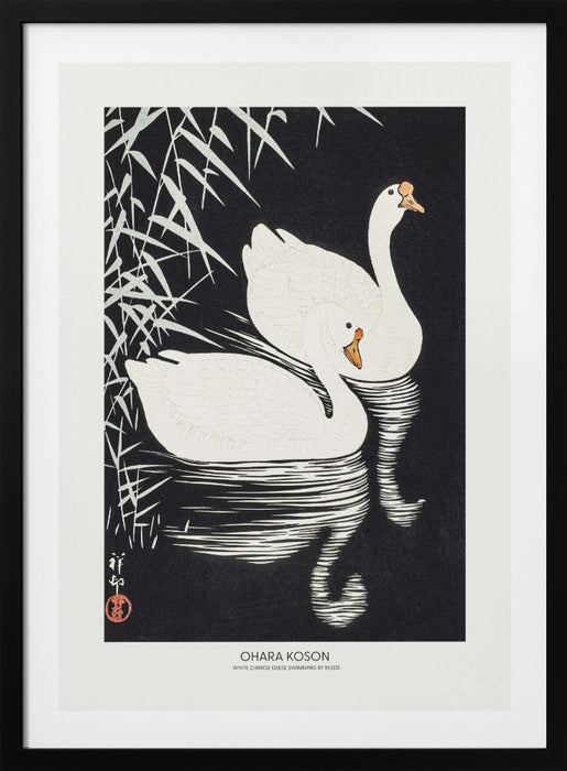 White Chinese Geese Swimming by Reeds Framed Art Modern Wall Decor