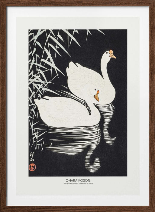 White Chinese Geese Swimming by Reeds Framed Art Modern Wall Decor