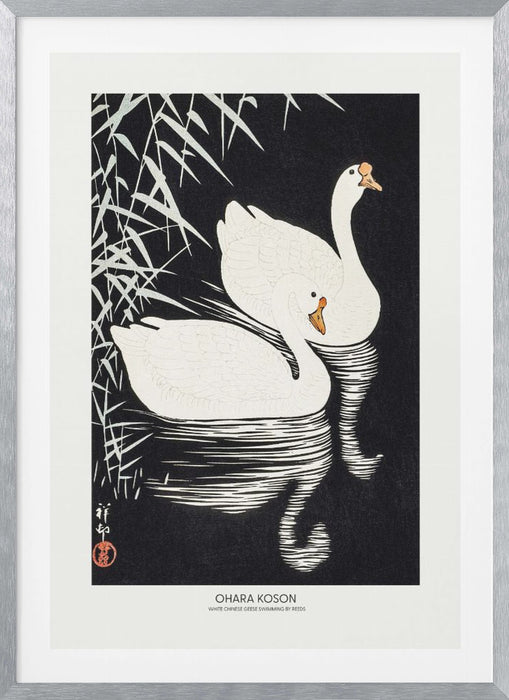 White Chinese Geese Swimming by Reeds Framed Art Modern Wall Decor