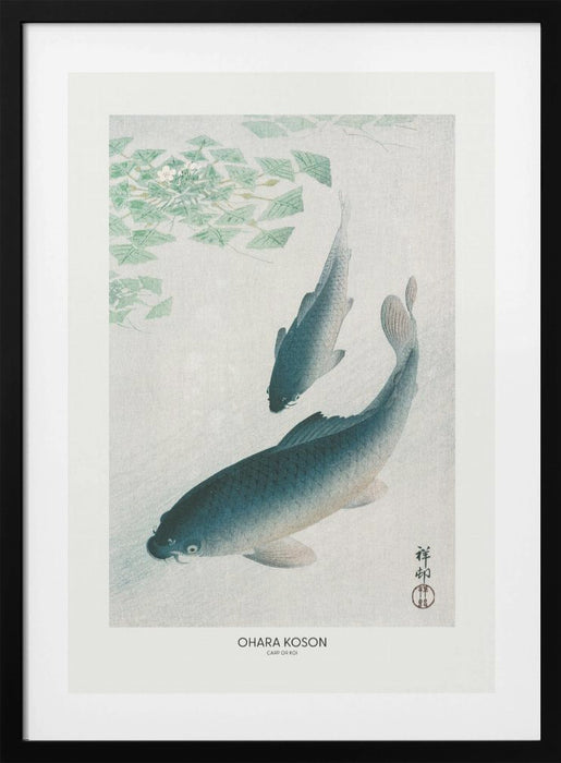 Carp Or Koi Framed Art Modern Wall Decor