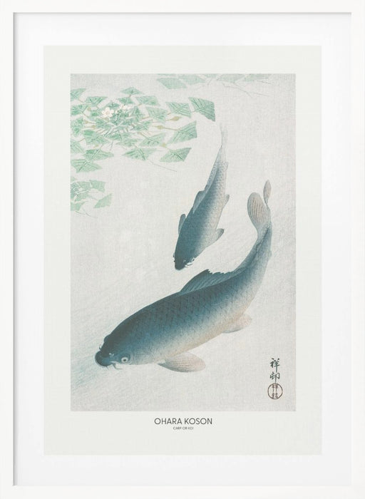 Carp Or Koi Framed Art Modern Wall Decor