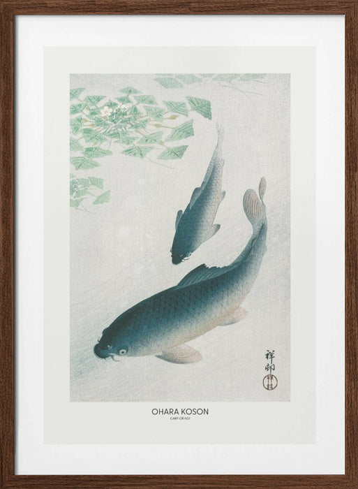 Carp Or Koi Framed Art Modern Wall Decor