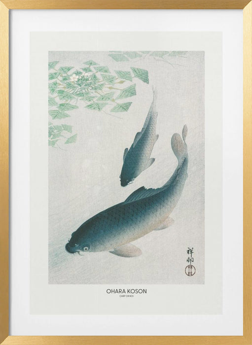 Carp Or Koi Framed Art Modern Wall Decor