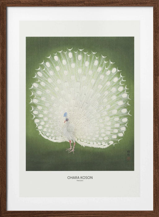 Peacock - Wide Framed Art Wall Decor