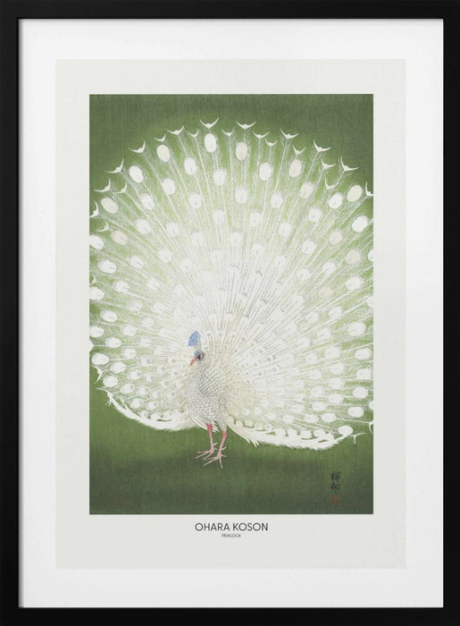 Peacock - Cropped Framed Art Wall Decor