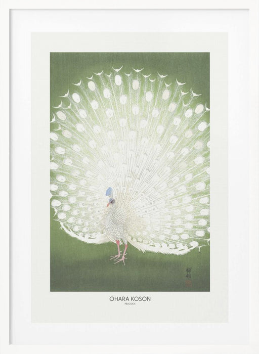 Peacock - Cropped Framed Art Wall Decor