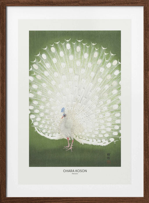 Peacock - Cropped Framed Art Wall Decor