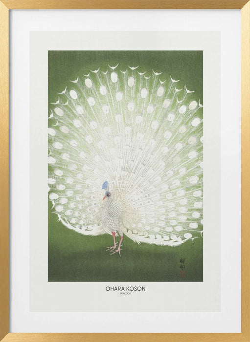 Peacock - Cropped Framed Art Wall Decor