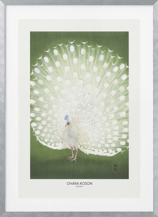 Peacock - Cropped Framed Art Wall Decor