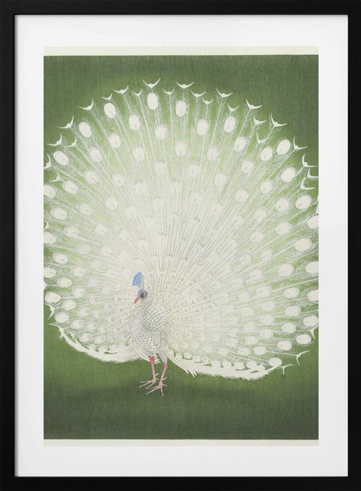 Peacock Framed Art Wall Decor