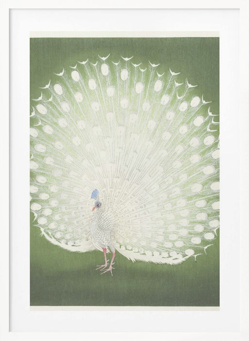 Peacock Framed Art Wall Decor