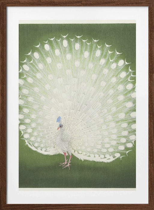 Peacock Framed Art Wall Decor