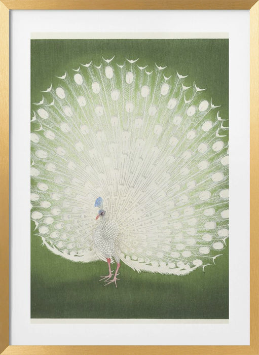 Peacock Framed Art Wall Decor