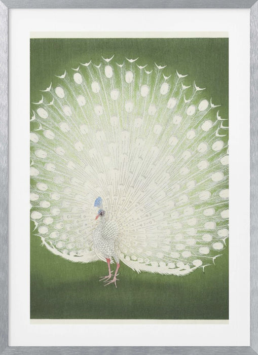 Peacock Framed Art Wall Decor