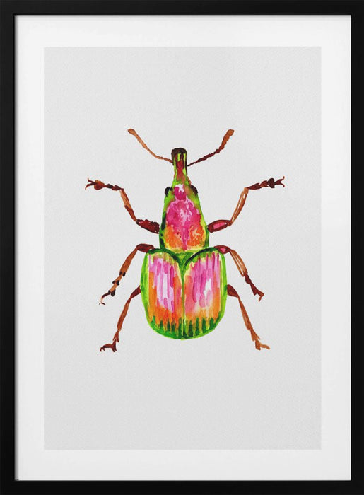 Apricot weevil or Epirhynchites auratus Framed Art Wall Decor