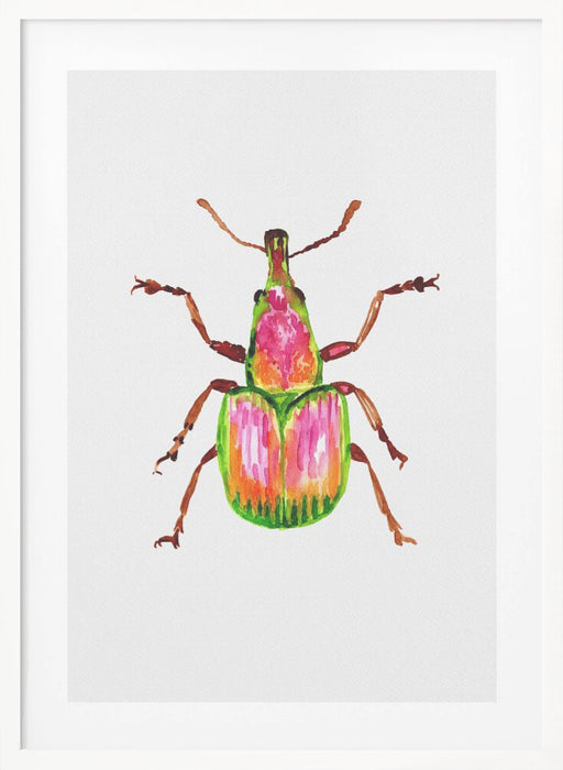 Apricot weevil or Epirhynchites auratus Framed Art Wall Decor