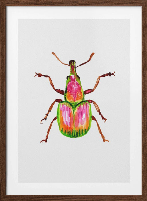 Apricot weevil or Epirhynchites auratus Framed Art Wall Decor