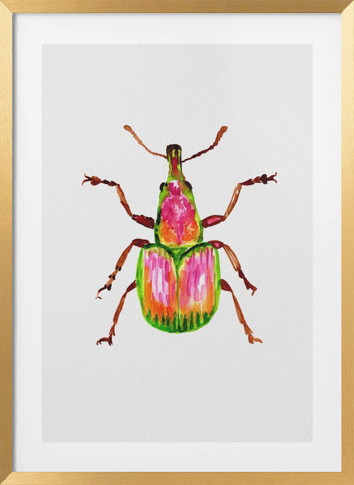 Apricot weevil or Epirhynchites auratus Framed Art Wall Decor