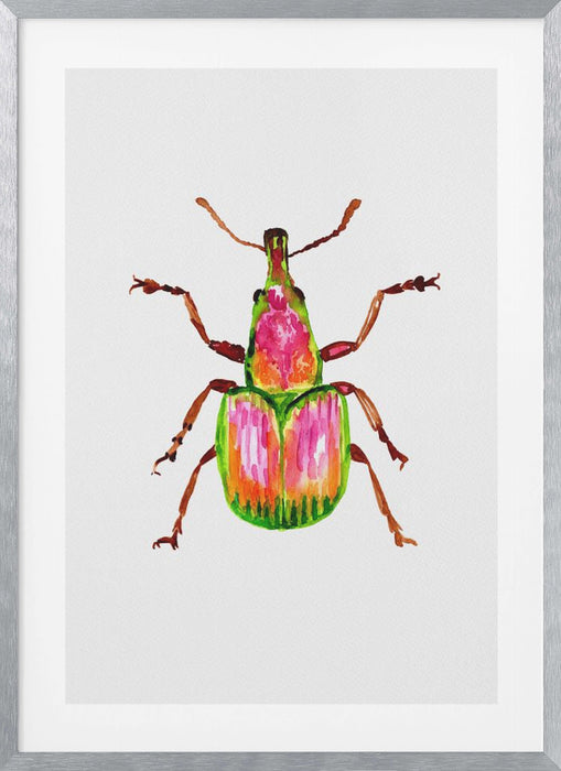 Apricot weevil or Epirhynchites auratus Framed Art Wall Decor