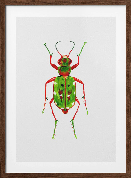 Green tiger beetle or Cicindela campestris Framed Art Modern Wall Decor