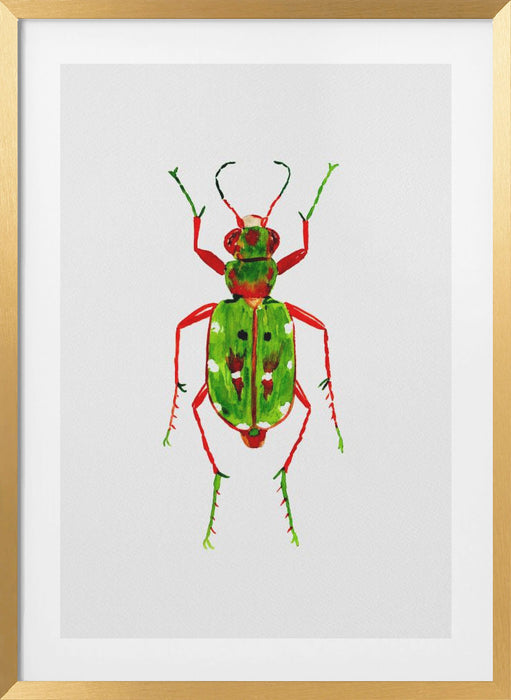 Green tiger beetle or Cicindela campestris Framed Art Modern Wall Decor