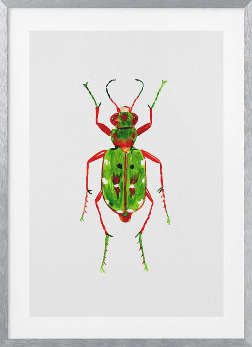 Green tiger beetle or Cicindela campestris Framed Art Modern Wall Decor