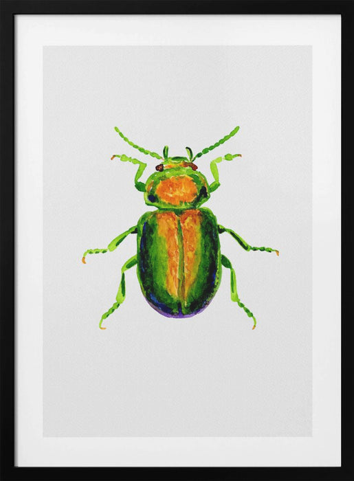 Tansy beetle or Chrysolina graminis Framed Art Modern Wall Decor