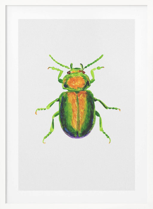 Tansy beetle or Chrysolina graminis Framed Art Modern Wall Decor