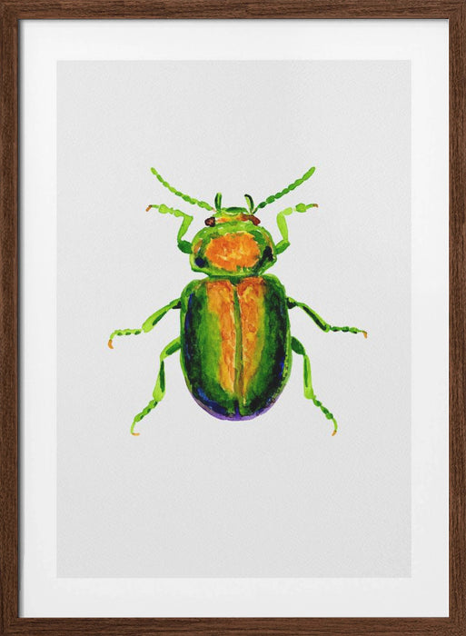 Tansy beetle or Chrysolina graminis Framed Art Modern Wall Decor