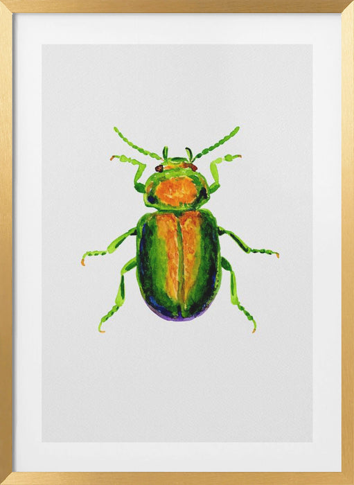 Tansy beetle or Chrysolina graminis Framed Art Modern Wall Decor