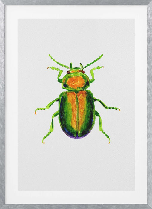 Tansy beetle or Chrysolina graminis Framed Art Modern Wall Decor