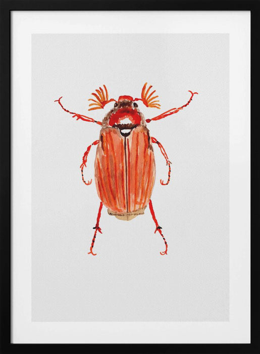 Forest cockchafer or Melolontha hippocastani Framed Art Wall Decor