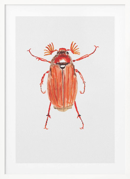 Forest cockchafer or Melolontha hippocastani Framed Art Wall Decor