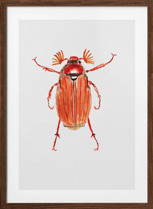 Forest cockchafer or Melolontha hippocastani Framed Art Wall Decor