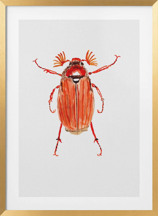 Forest cockchafer or Melolontha hippocastani Framed Art Wall Decor