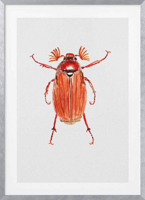 Forest cockchafer or Melolontha hippocastani Framed Art Wall Decor