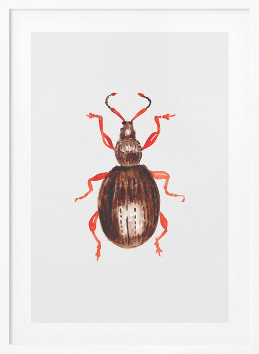 Strawberry root weevil  or Otiorhynchus ovatus Framed Art Wall Decor