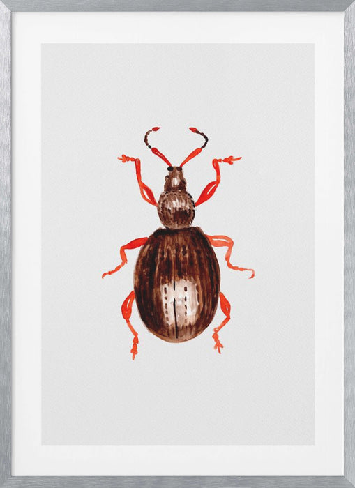 Strawberry root weevil  or Otiorhynchus ovatus Framed Art Wall Decor